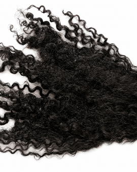 Hd Burmese Curly Closure 20”